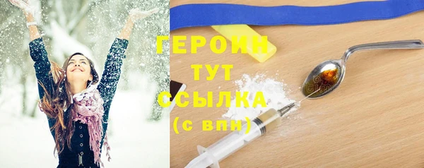 шишки Новодвинск