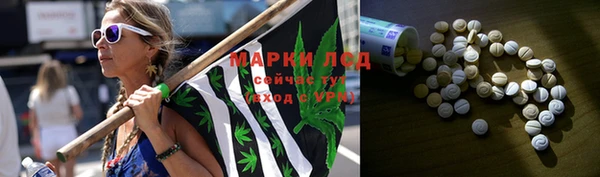 ECSTASY Новозыбков