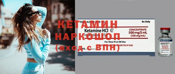 шишки Новодвинск