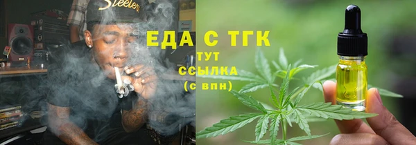 шишки Новодвинск
