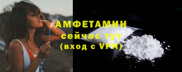 молекула духа Новокубанск