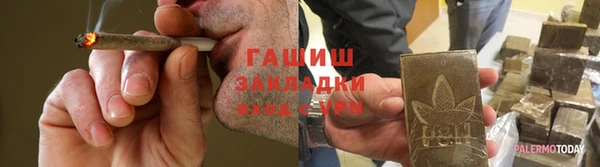 шишки Новодвинск