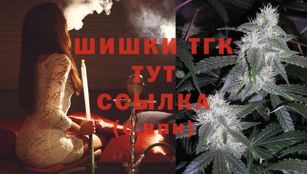 шишки Новодвинск