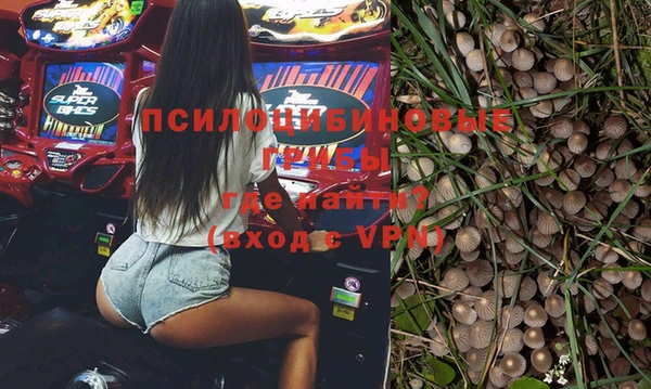 молекула духа Новокубанск