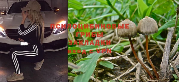 ECSTASY Новозыбков