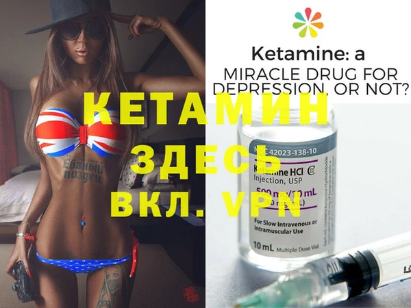 шишки Новодвинск