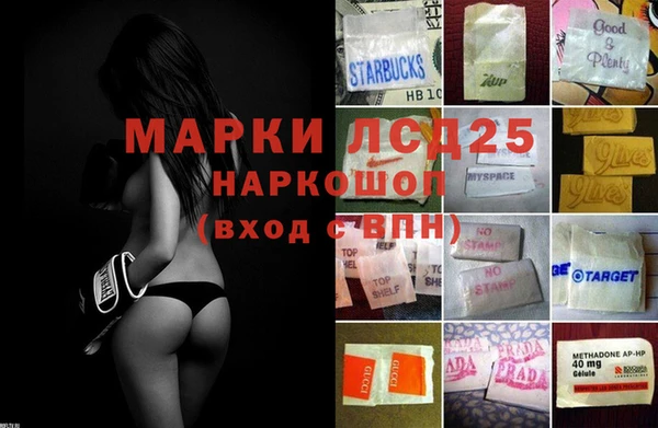 шишки Новодвинск