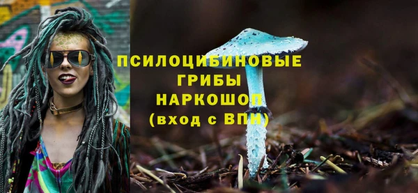 а пвп мука Надым