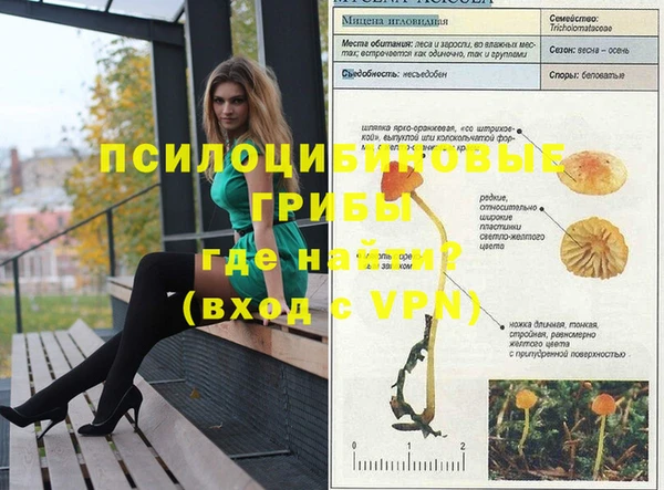 ECSTASY Новозыбков