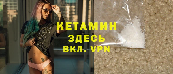 шишки Новодвинск