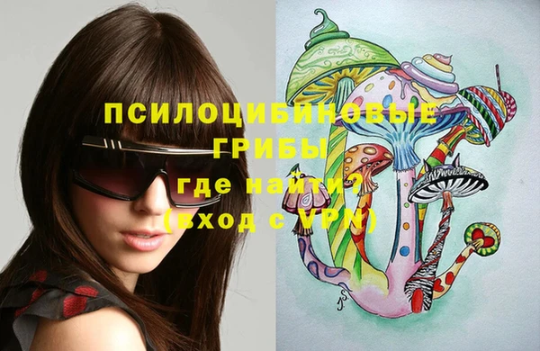 молекула духа Новокубанск