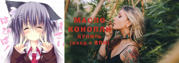 шишки Новодвинск