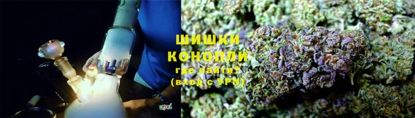 ECSTASY Новозыбков